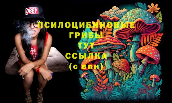 ГАЛЛЮЦИНОГЕННЫЕ ГРИБЫ Абинск