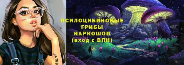 скорость Абаза