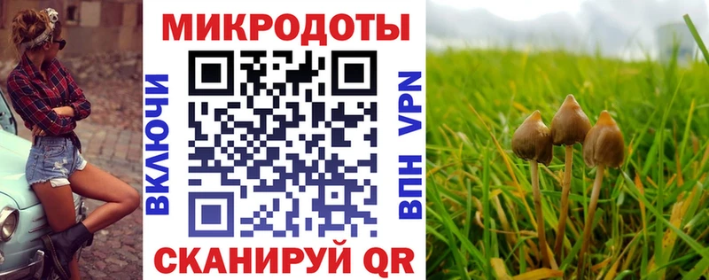 площадка официальный сайт  цены наркотик  Якутск  Псилоцибиновые грибы мицелий  гидра сайт 